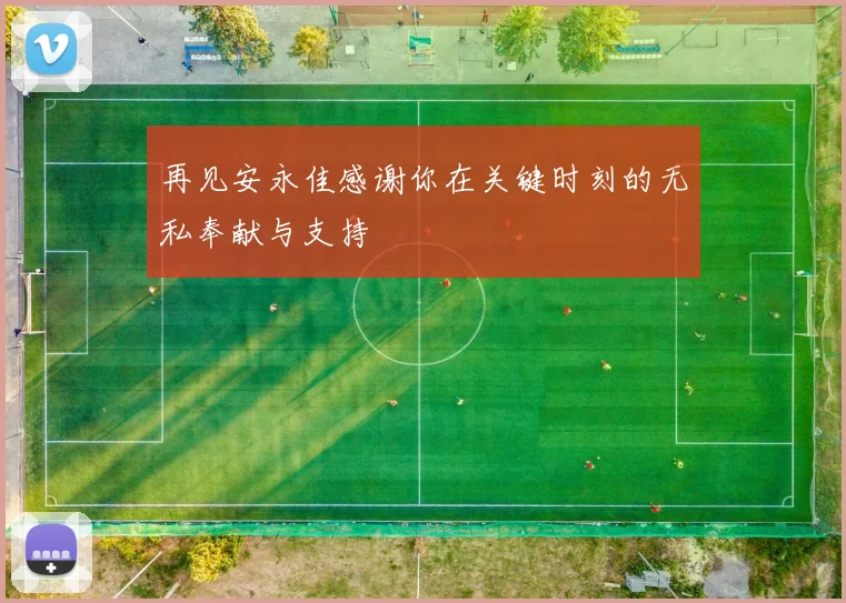 再见安永佳感谢你在关键时刻的无私奉献与支持