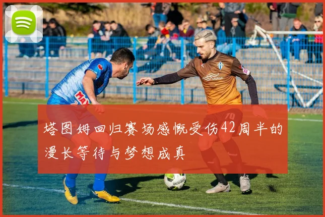 塔图姆回归赛场感慨受伤42周半的漫长等待与梦想成真
